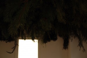 IMG_4968