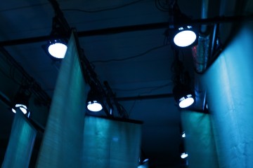 IMG_2659