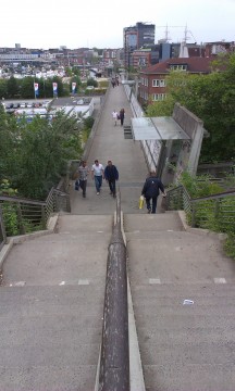 IMAG3303
